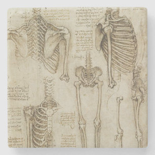 Da Vincis menschliche Skeleton Anatomie-Skizzen Steinuntersetzer