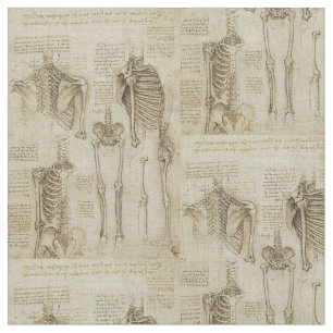 Da Vincis menschliche Skeleton Anatomie-Skizzen Stoff