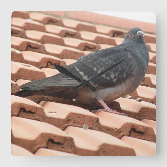 Dach-Taube-Uhr Quadratische Wanduhr (Vorderseite)