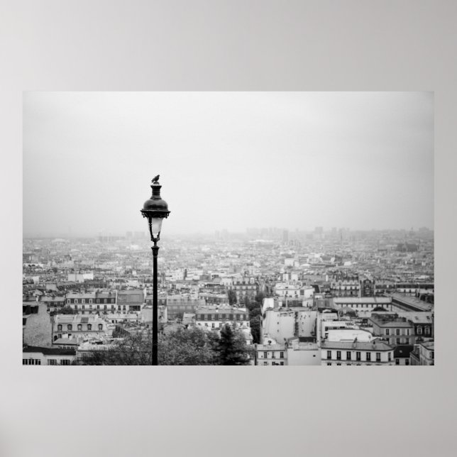 Dächer von Paris - Poster (Vorne)