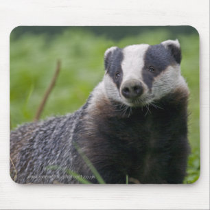 Dachs Mousemat Mousepad