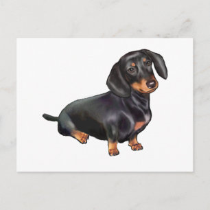 Dachshund (A) - Schwarz und Braun Postkarte