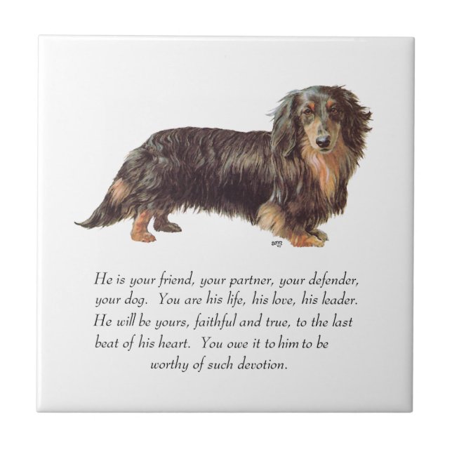 Dachshund-Andenken - Männlich Fliese (Vorderseite)