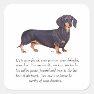Dachshund-Andenken - Männlich Quadratischer Aufkleber