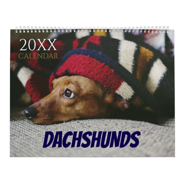 Dachshund Calendar Dog 2026 Photo Kalender (Titelbild)