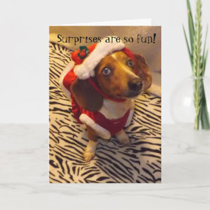 Dachshund Christmas Card Feiertagskarte