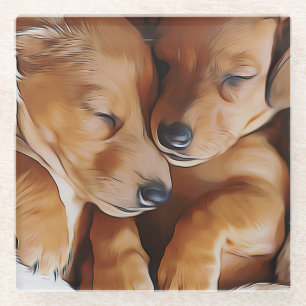 Dachshund Cute Sleeping Dachshund Puppies Birthday Glasuntersetzer