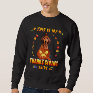 Dachshund Dog In The Pumpkin This Is My Thanksgivi Sweatshirt