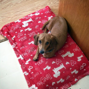 Dachshund Doxie Valentinstag-Herzen-Decke Fleecedecke