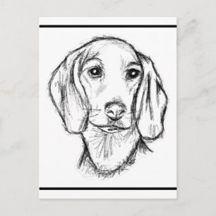 Dachshund Drawn Sketch Black Puppy Dog Postkarte