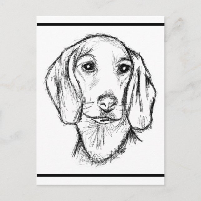 Dachshund Drawn Sketch Black Puppy Dog Postkarte (Vorderseite)