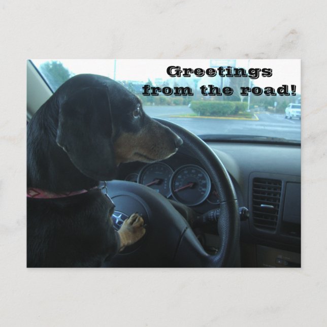 Dachshund-Driven Postcard Postkarte (Vorderseite)