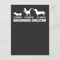 Dachshund-Evolutionen