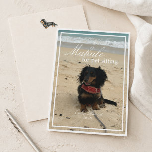 Dachshund-Foto Mahalo für Pet-Sitting Dankeskarte