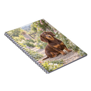 Dachshund-Gartenweg-Spiralblock Notizblock