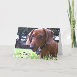 Dachshund Grüße Karte