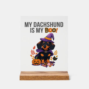 Dachshund Halloween-Kostüm Mein Dachshund ist mei Acrylschild