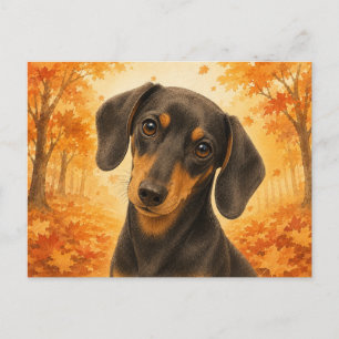 Dachshund Herbstwald Hund Postkarte
