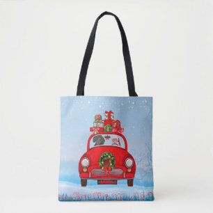 Dachshund-Hund im Auto mit dem Weihnachtsmann
