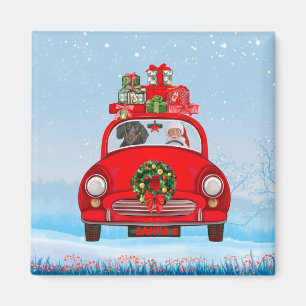 Dachshund-Hund im Auto mit dem Weihnachtsmann Magnet
