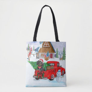 Dachshund-Hund im Weihnachtslieferwagen Schnee