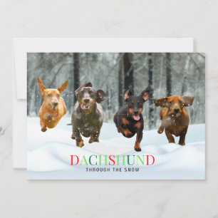 Dachshund im Schnee 4 laufende Hunde lustig Feiertagskarte