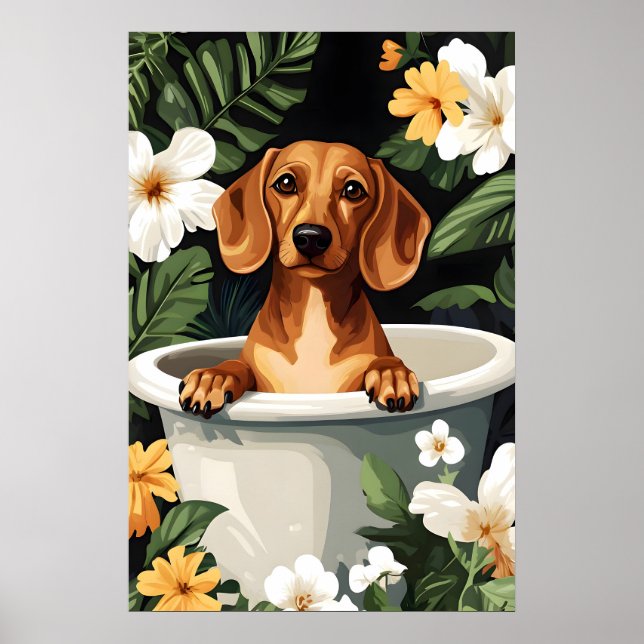 Dachshund In Bathtub Poster, Funny Dog Poster (Vorne)