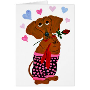 Dachshund in rosa Herzshorts