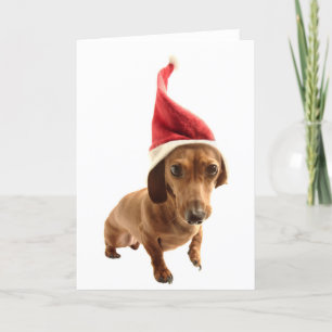 Dachshund in Santa hat Feiertagskarte