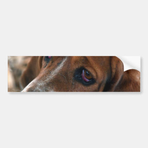 Dachshund-Jagdhund-Entwurfs-Autoaufkleber Autoaufkleber