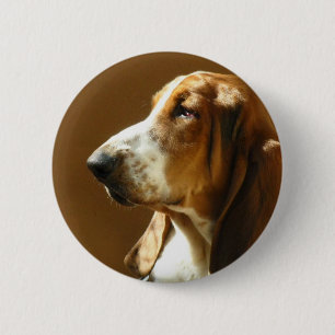 Dachshund-Jagdhund-Foto-Knopf Button
