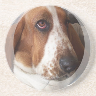 Dachshund-Jagdhund-HundeUntersetzer Untersetzer