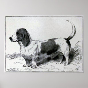 "Dachshund-Jagdhund-" Vintage Hundeillustration Poster