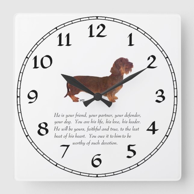 Dachshund Keepsake - Male Quadratische Wanduhr (Vorderseite)