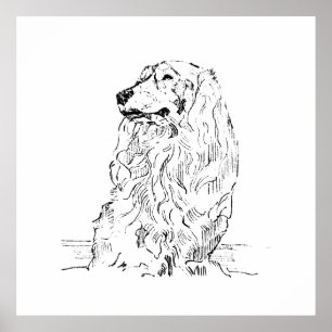 Dachshund – Langhaariger Dackel Poster