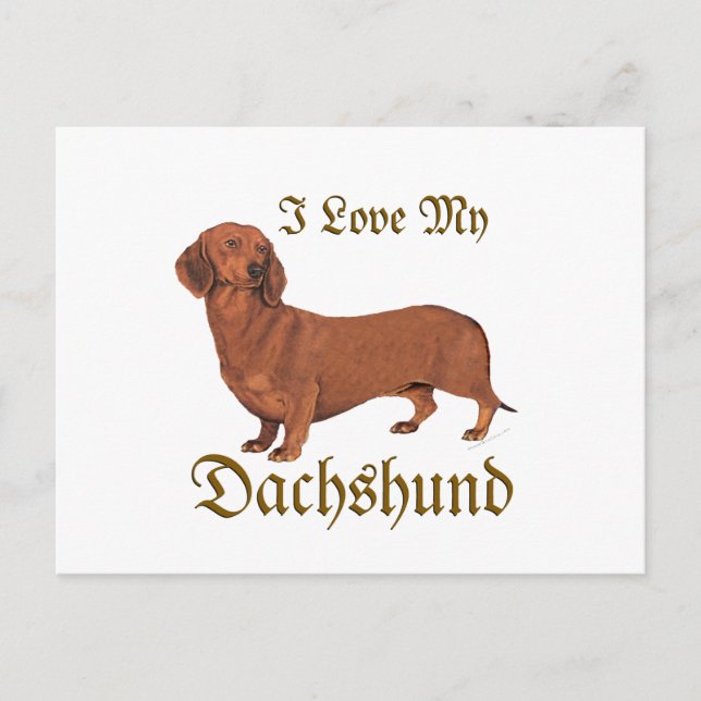 Dachshund Liebe Postkarte (Vorderseite)