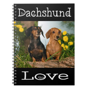 Dachshund Liebe Tan & Black Welpenhund Notizblock