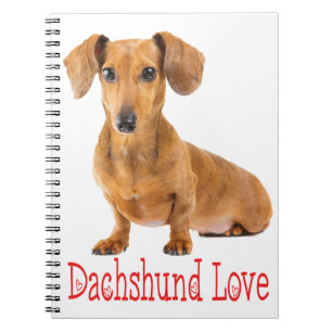 Dachshund Liebe Tan Welpen Hund Notizblock