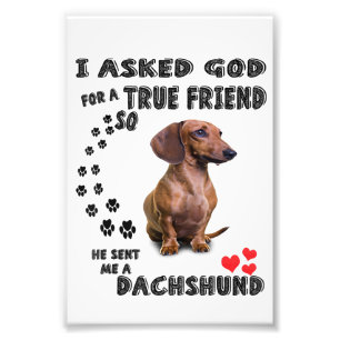 Dachshund Miniature Gift, Sausage Dog, Weenie Wog, Fotodruck