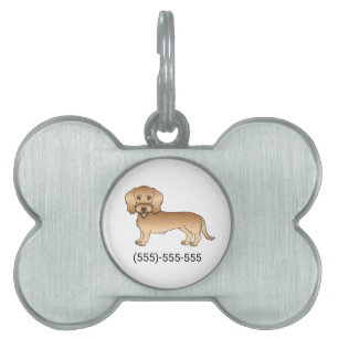 Dachshund mit Weizenfell und Telefonnummer Tiermarke