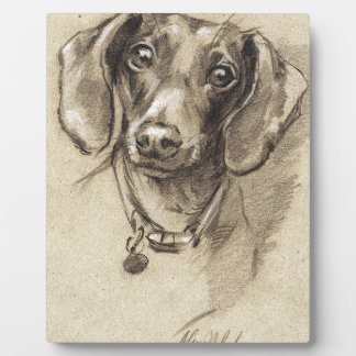 Dachshund portrait fotoplatte