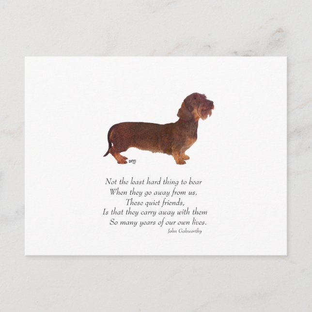 Dachshund Rainbow Bridge Postkarte (Vorderseite)