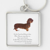 Dachshund Rainbow Bridge