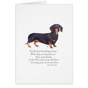 Dachshund Regenbogenbrücke