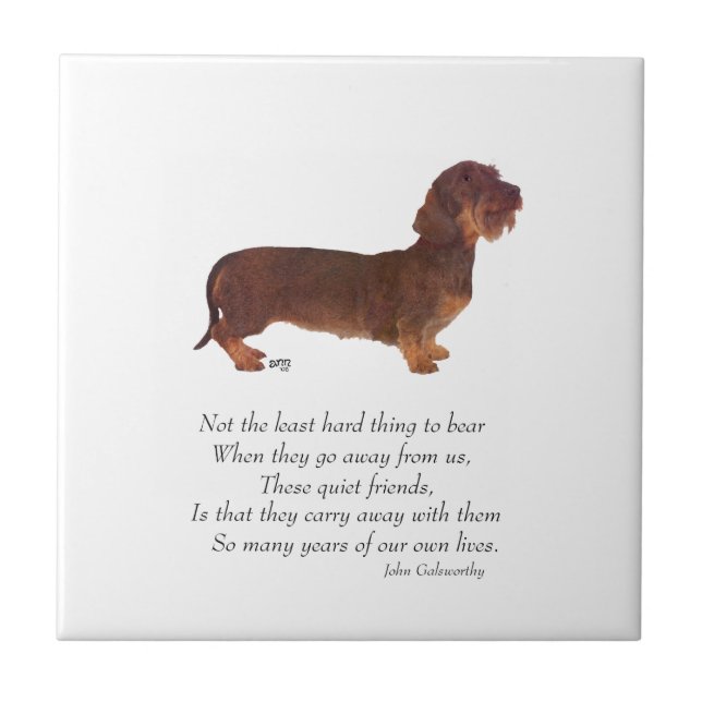 Dachshund Regenbogenbrücke Fliese (Vorderseite)