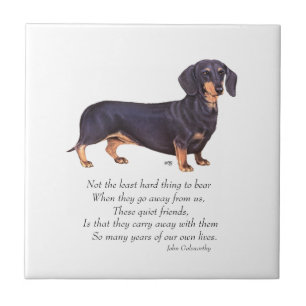 Dachshund Regenbogenbrücke Fliese