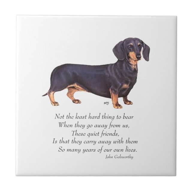 Dachshund Regenbogenbrücke Fliese (Vorderseite)
