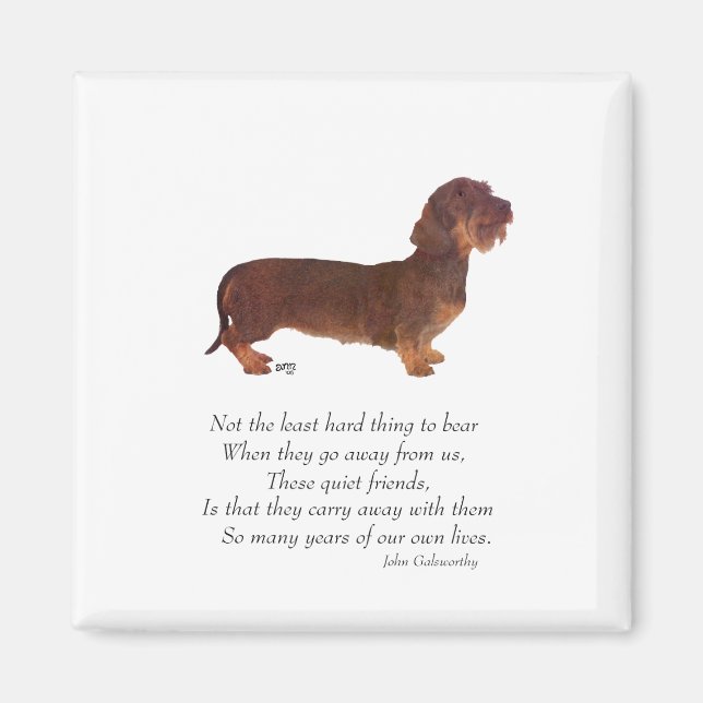 Dachshund Regenbogenbrücke Magnet (Vorne)