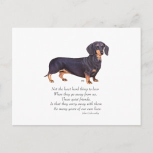 Dachshund Regenbogenbrücke Postkarte