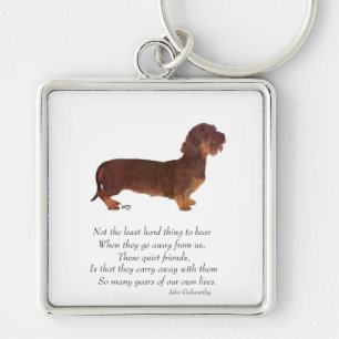 Dachshund Regenbogenbrücke Schlüsselanhänger